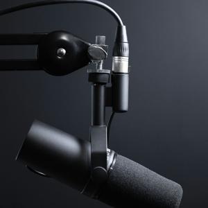 Podcasts