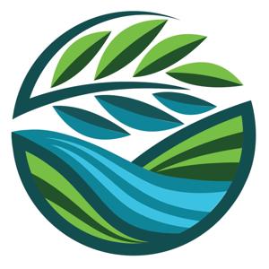 The River Branch Podcast