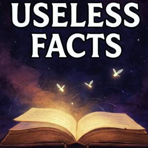Useless Facts for Sleep