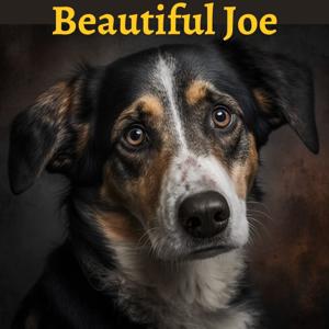 Beautiful Joe - Marshall Saunders