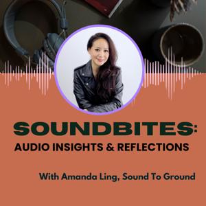 SoundBites: Audio Insights and Reflections