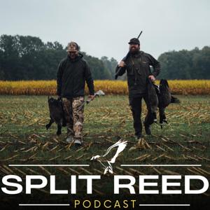 Split Reed Podcast