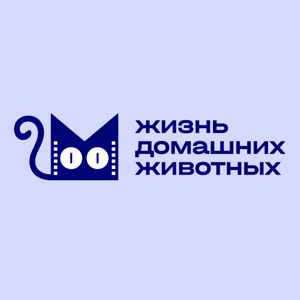 Жизнь домашних животных