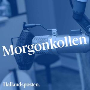 Morgonkollen