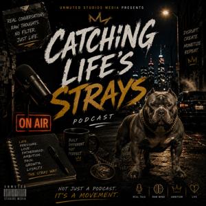 Catching Life’s Strays