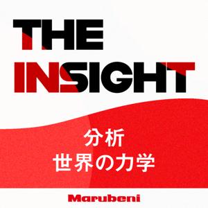 THE INSIGHT ~分析 世界の力学~