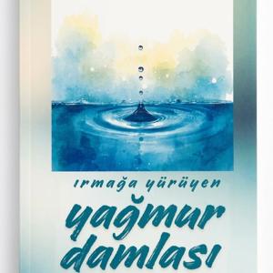 IRMAĞA YÜRÜYEN YAĞMUR DAMLASI