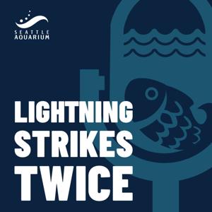 Lightning Strikes Twice