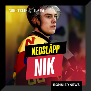 Nedsläpp NIK