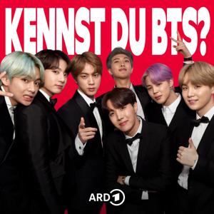 Kennst du BTS? Eine Band aus Korea verändert die Welt
