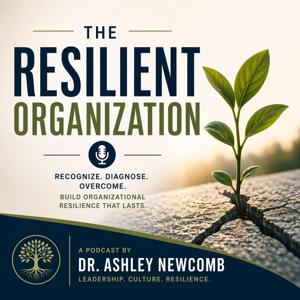 The Resilient Organization