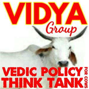 Vidya Group Podcast