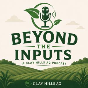 Beyond the Inputs
