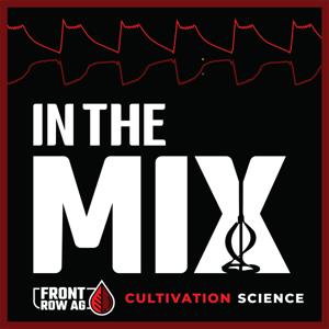 In The Mix