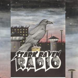 Stark Raven