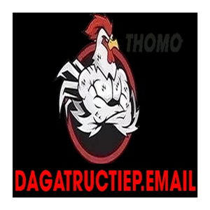 Đá gà trực tiếp