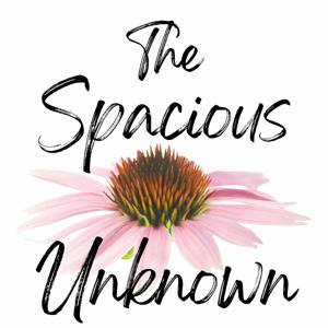 The Spacious Unknown