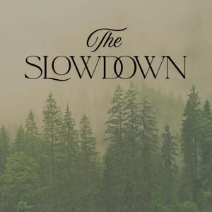 The Slowdown