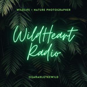 WildHeart Radio with Sarah Lutke Wild