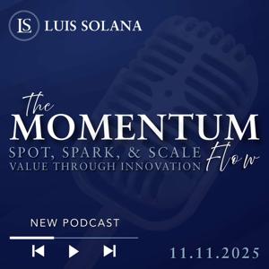 The Momentum Flow