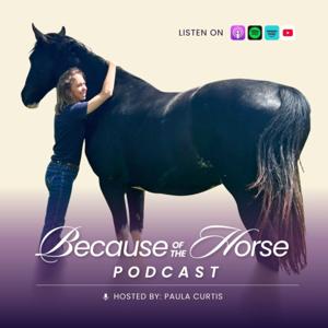 Because of the Horse Podcast