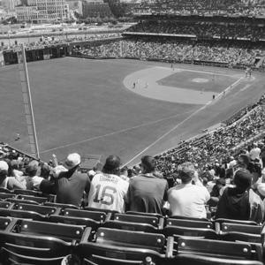 Baseball from the 513 to the 619