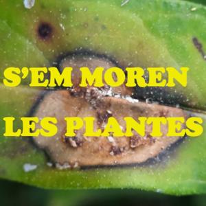S'em moren les plantes