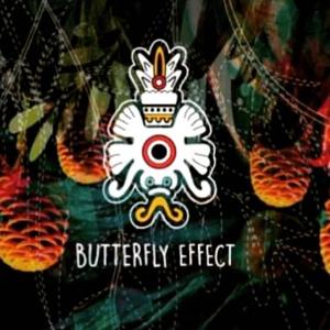 Butterfly Effect