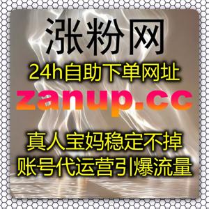 搭建精细化内容增长体系,依托自动化平台数据复盘,稳步放大账号互动效果