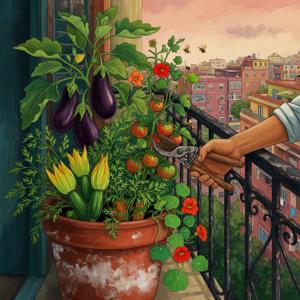 Balcony Harvest
