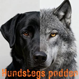 Hundstegs podden