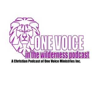 One Voice in the Wilderness