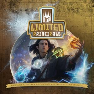 Limited Principals