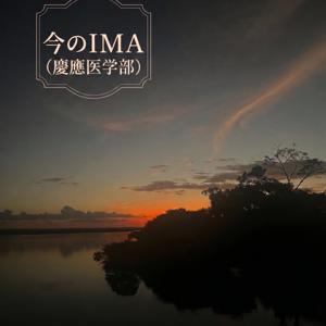 今のIMA (慶應医学部)