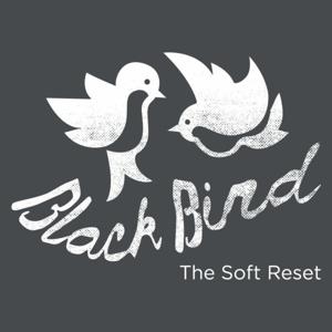 Blackbird: The Soft Reset