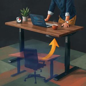 Standing Desks & Sit-Stand Habits