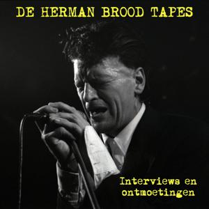 De Herman Brood Tapes