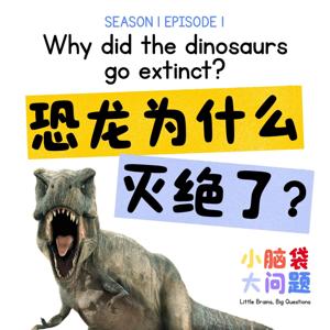小脑袋，大问题 • Little Brains, Big Questions!
