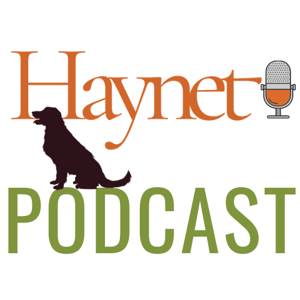 Haynet Podcast