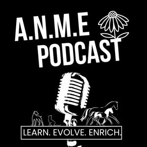 A.N.M.E Podcast