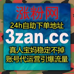 小红书垂类运营体系搭配流量提升方案，优化红薯话题阅读与发现页自然曝光