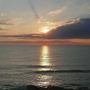 Il podcast di Susanna Faviani