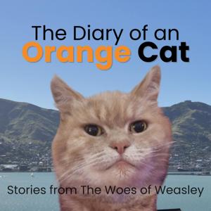 The Diary of an Orange Cat