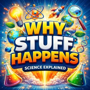 Why Stuff Happens