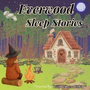 Everwood Sleep Stories