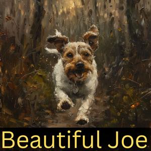 Beautiful Joe