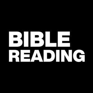 Bible Reading