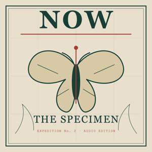 NOW — the audio edition