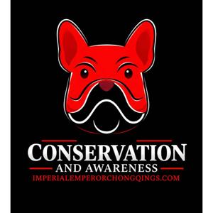 The Chongqing Dog Conservation & Awareness Podcast