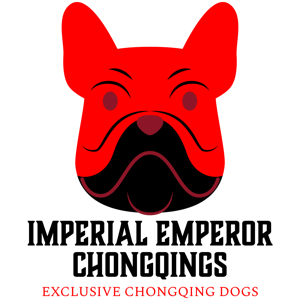 The Chongqing Dog Conservation & Awareness Podcast